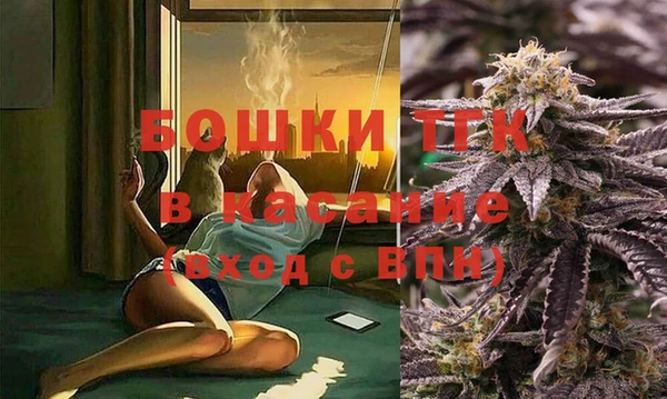 гашик Нефтекумск